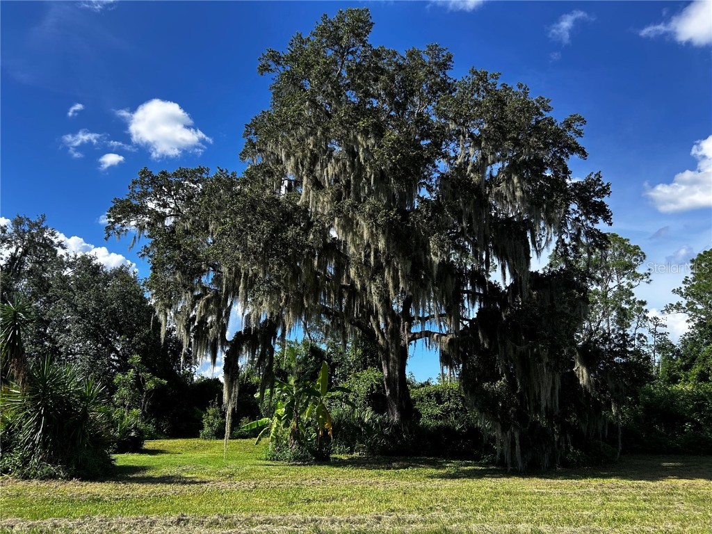 15401 Co Rd 450 Umatilla FL 32784 R4909646 image17