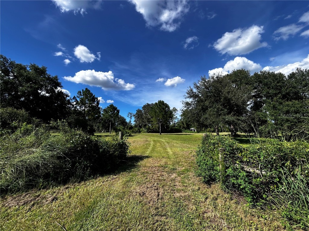 15401 Co Rd 450 Umatilla FL 32784 R4909646 image2