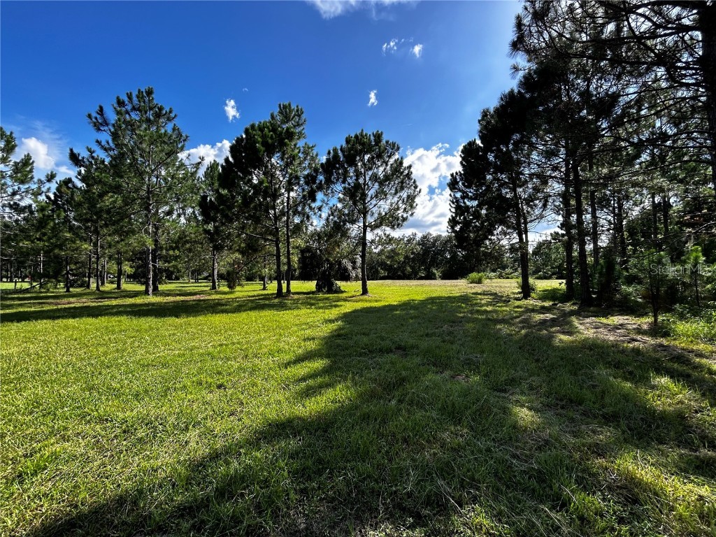 15401 Co Rd 450 Umatilla FL 32784 R4909646 image20