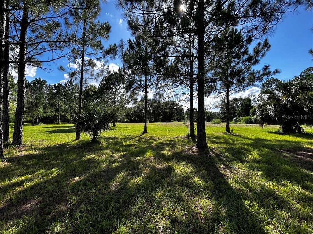 15401 Co Rd 450 Umatilla FL 32784 R4909646 image21