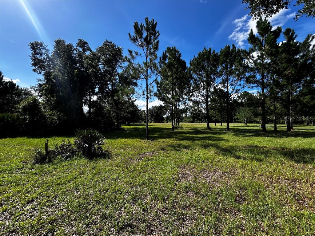 15401 Co Rd 450 Umatilla FL 32784 R4909646 image22