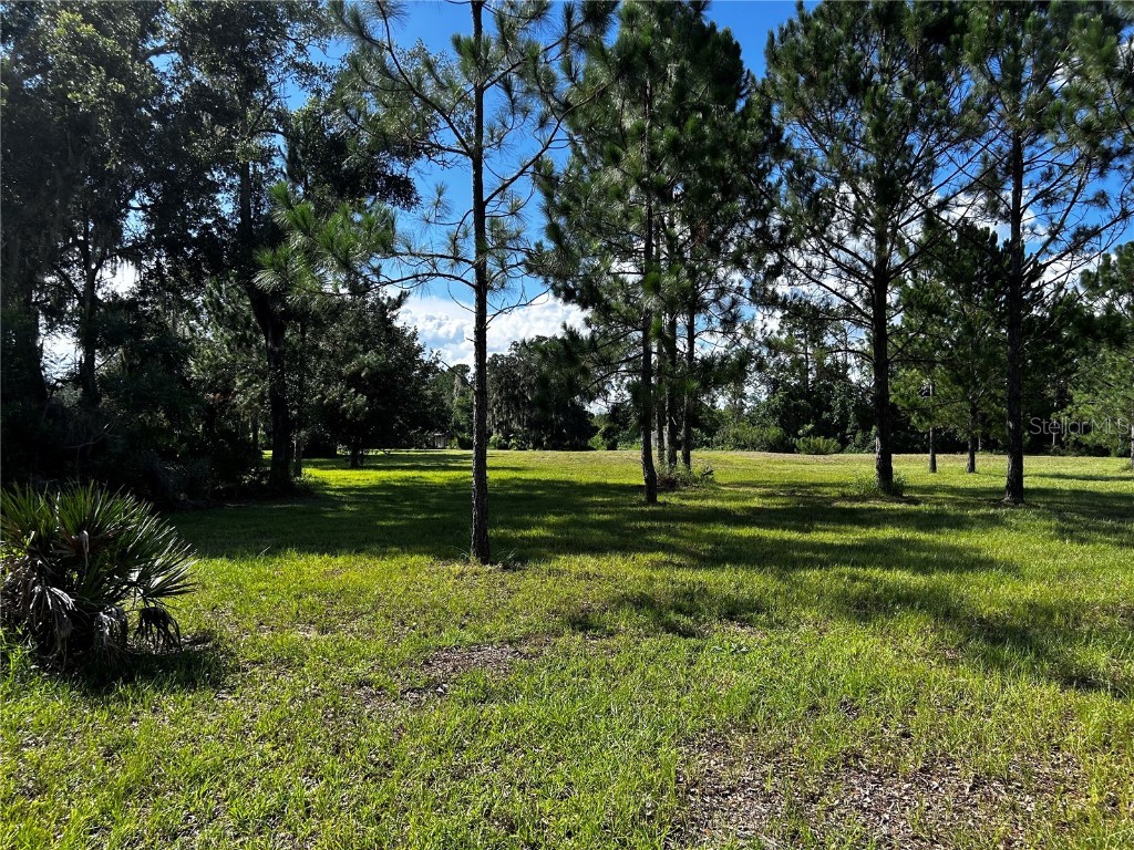 15401 Co Rd 450 Umatilla FL 32784 R4909646 image23