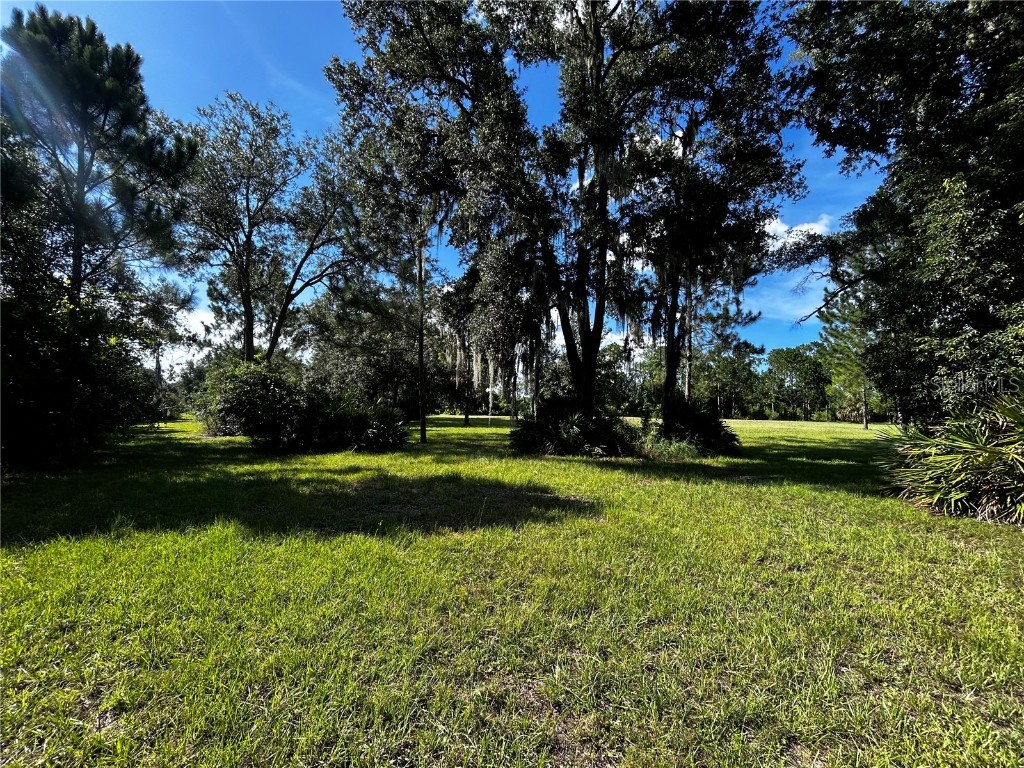 15401 Co Rd 450 Umatilla FL 32784 R4909646 image24