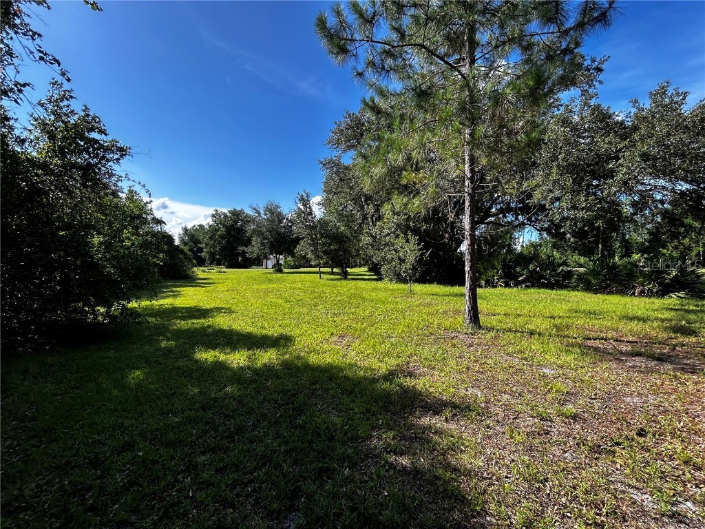 15401 Co Rd 450 Umatilla FL 32784 R4909646 image25