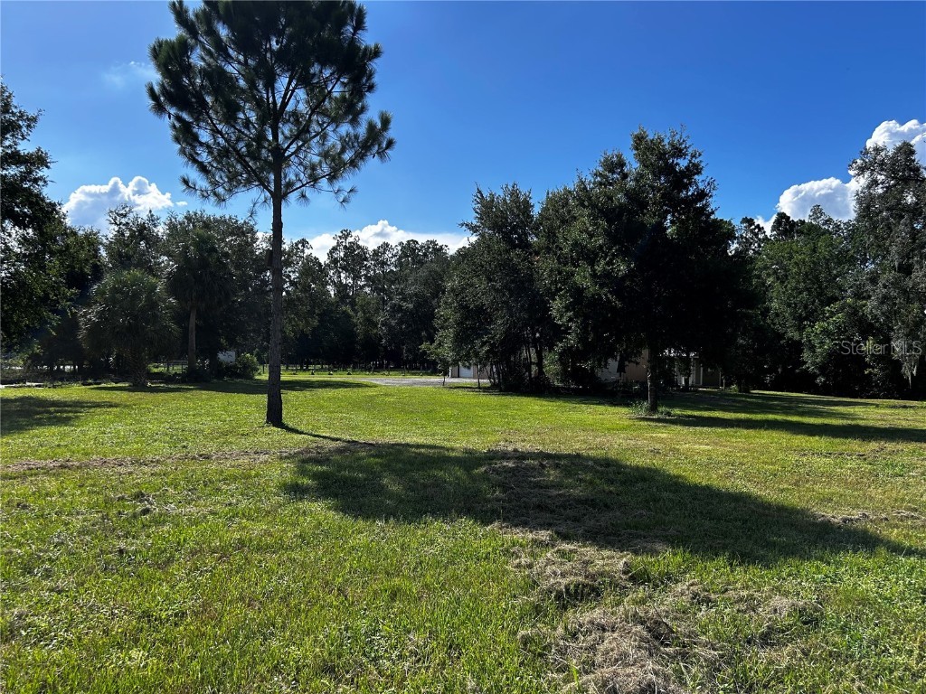 15401 Co Rd 450 Umatilla FL 32784 R4909646 image26