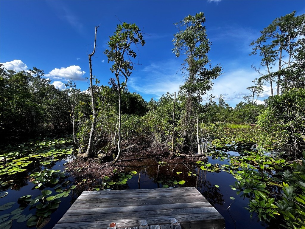 15401 Co Rd 450 Umatilla FL 32784 R4909646 image9