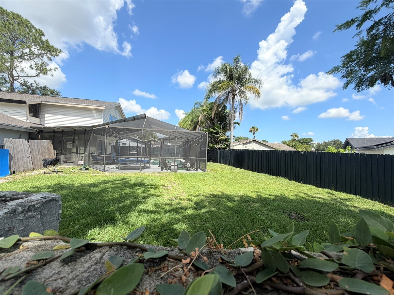 15401 Deerglen Drive Tampa FL 33624 TB8479439 image23