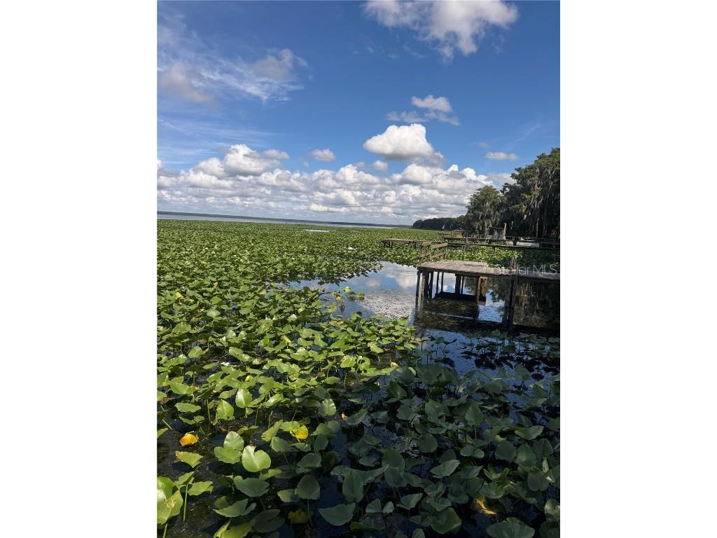 15402 SE Us Highway 301 Hawthorne FL 32640 OM707481 image13