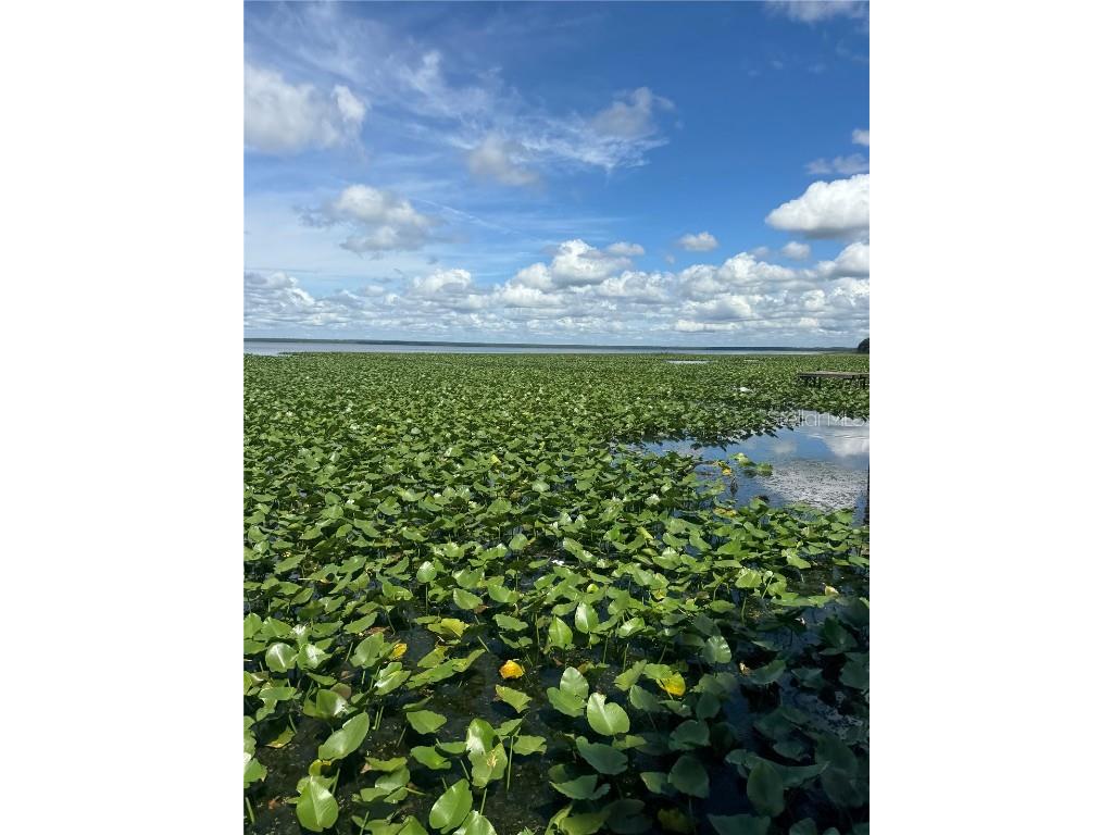 15402 SE Us Highway 301 Hawthorne FL 32640 OM707481 image15