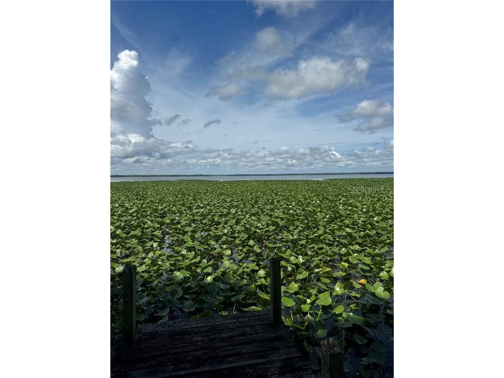 15402 SE Us Highway 301 Hawthorne FL 32640 OM707481 image3