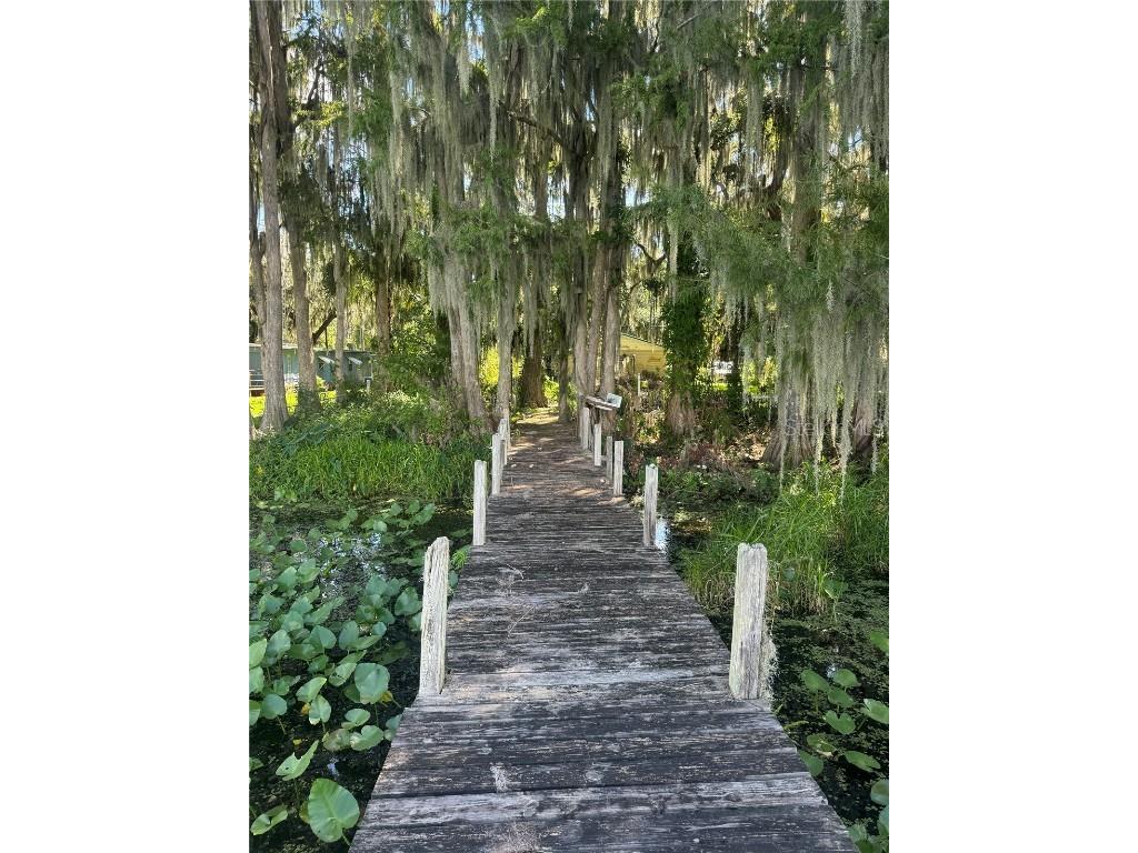 15402 SE Us Highway 301 Hawthorne FL 32640 OM707481 image4