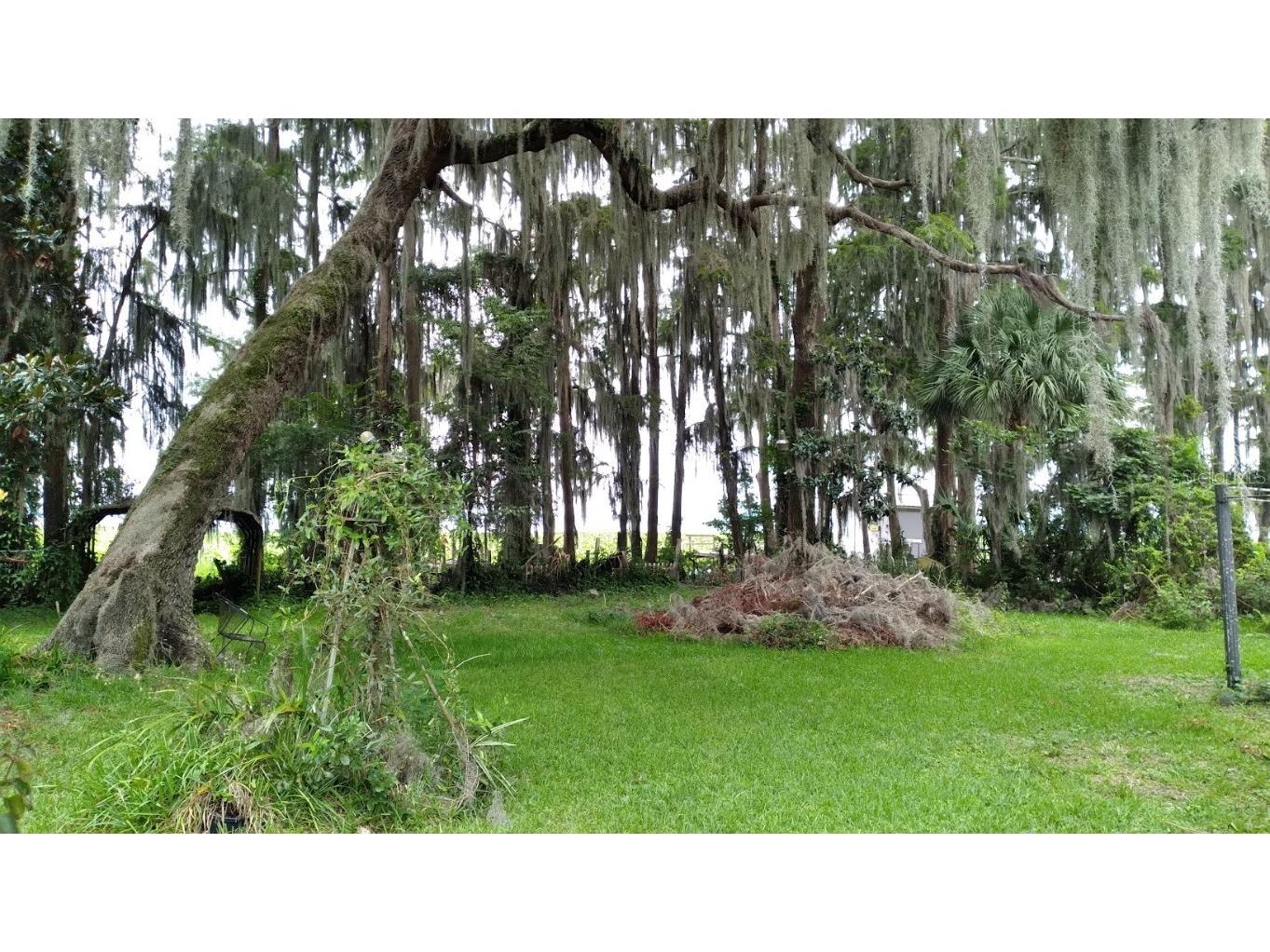 15402 SE Us Highway 301 Hawthorne FL 32640 OM707481 image8