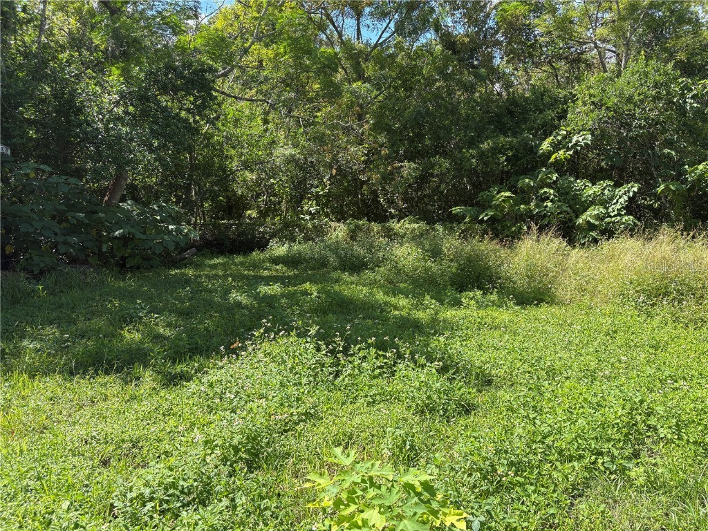 15403 Mornay Drive Hudson FL 34667 TB8435688 image13