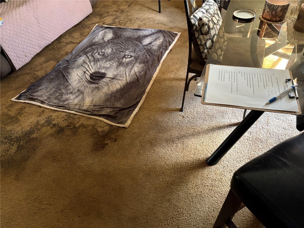 15403 Mornay Drive Hudson FL 34667 TB8435688 image18