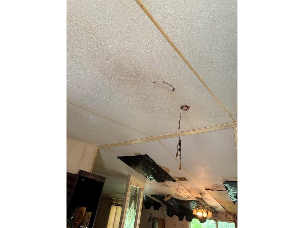 15403 Mornay Drive Hudson FL 34667 TB8435688 image21