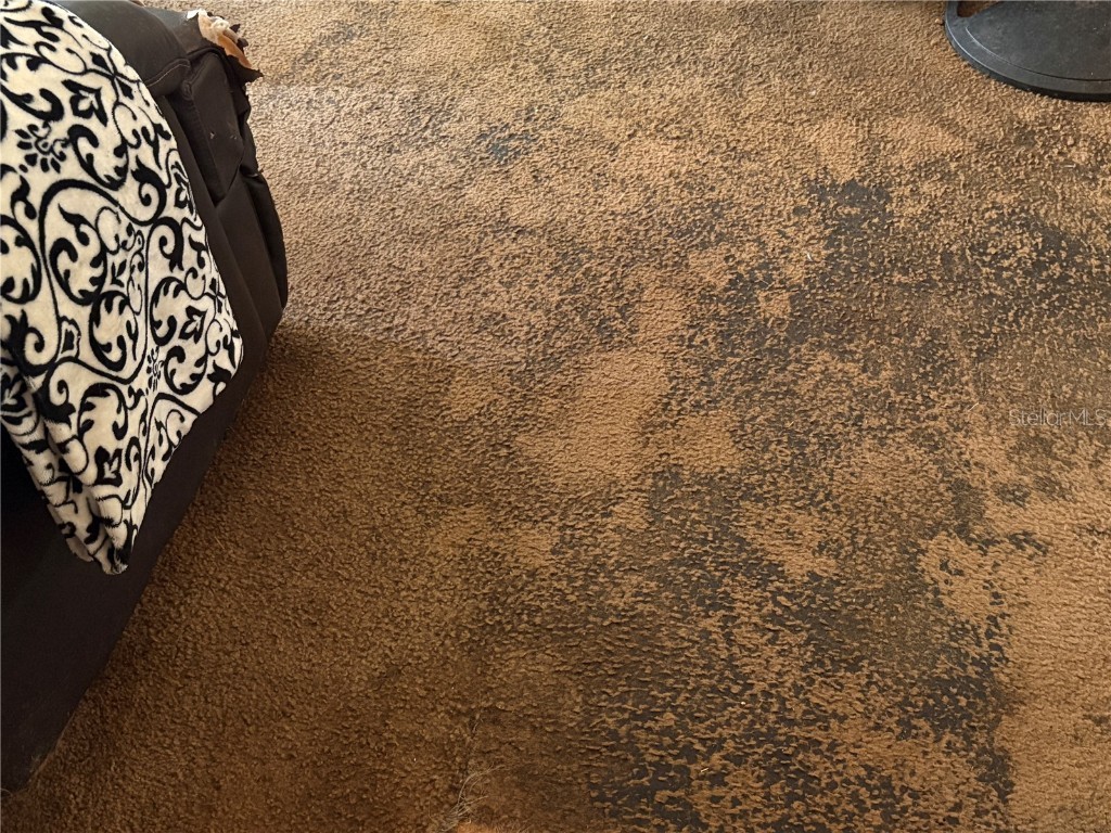 15403 Mornay Drive Hudson FL 34667 TB8435688 image25