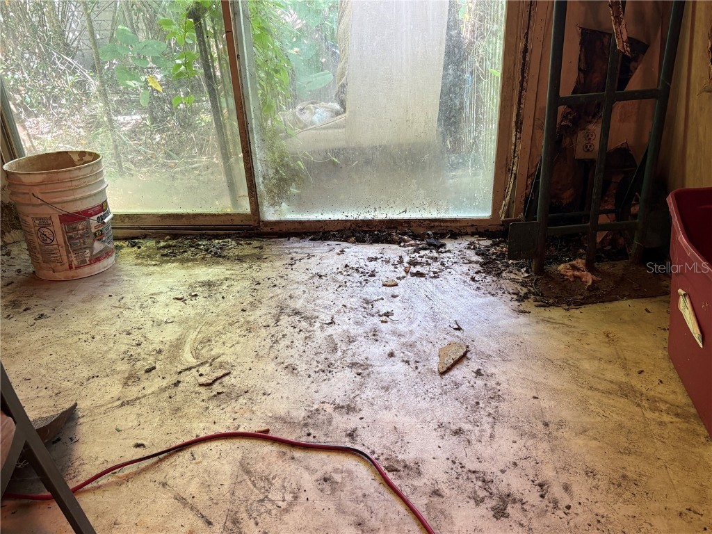 15403 Mornay Drive Hudson FL 34667 TB8435688 image37