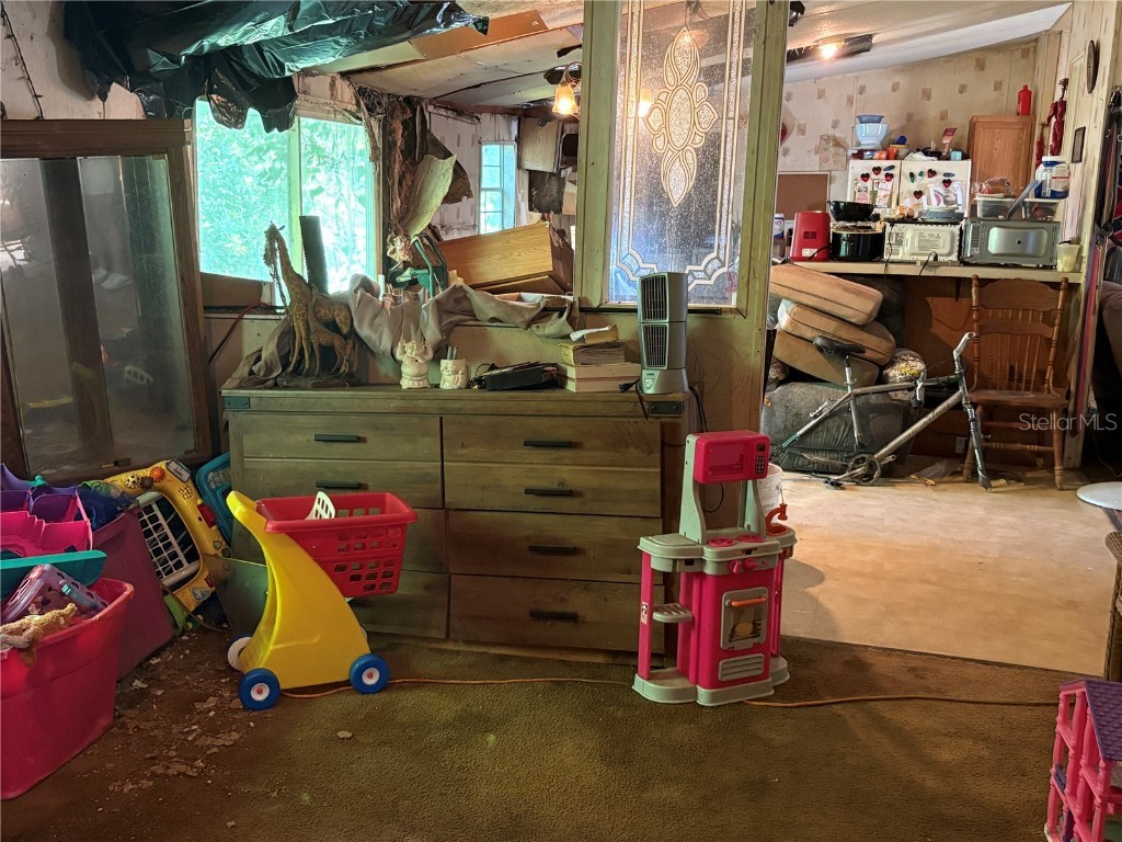 15403 Mornay Drive Hudson FL 34667 TB8435688 image39