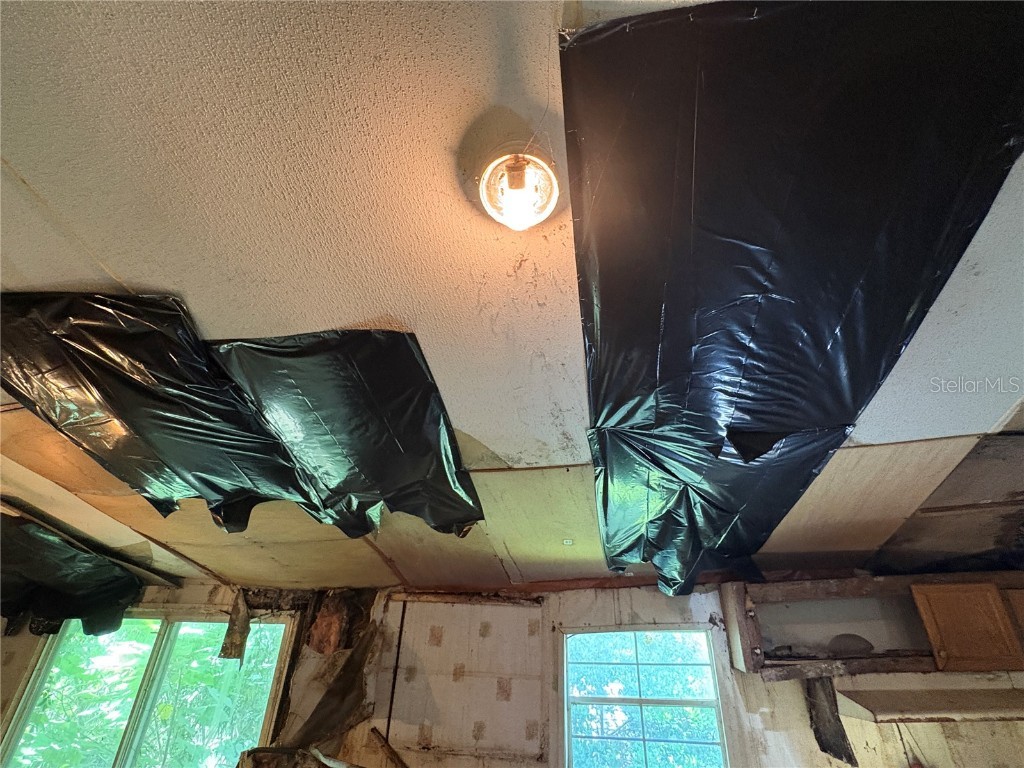 15403 Mornay Drive Hudson FL 34667 TB8435688 image45