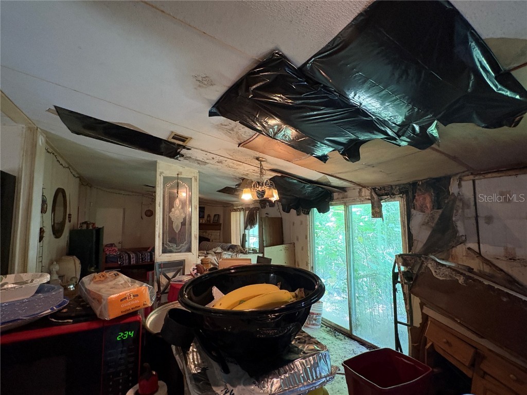 15403 Mornay Drive Hudson FL 34667 TB8435688 image46