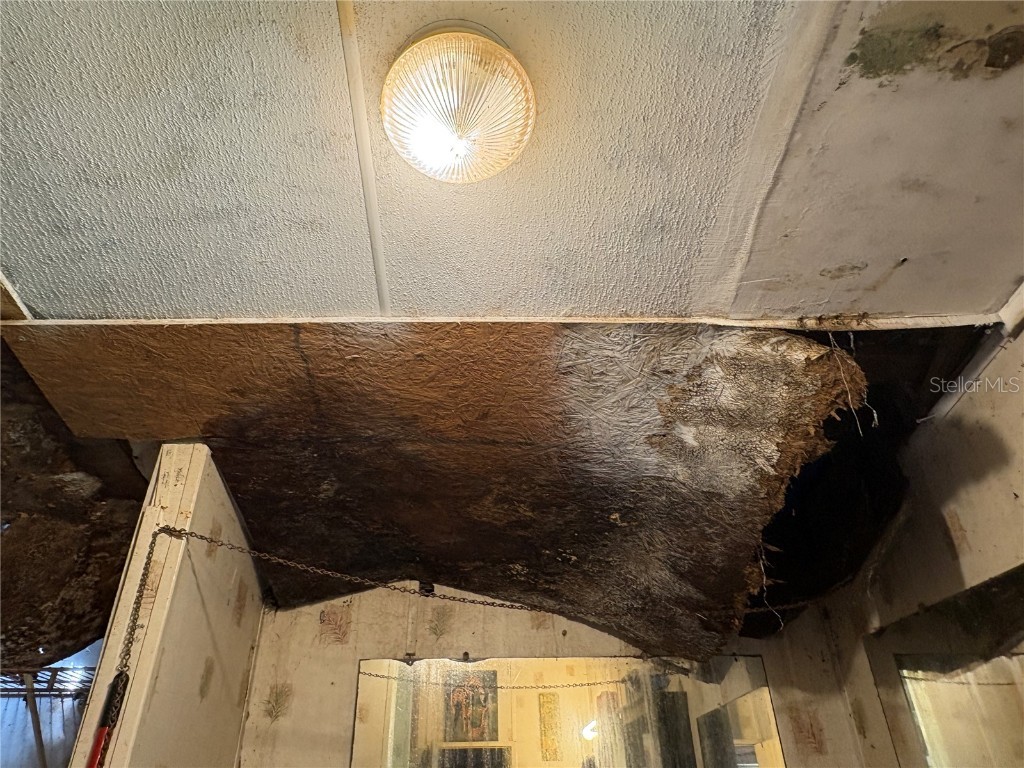 15403 Mornay Drive Hudson FL 34667 TB8435688 image57