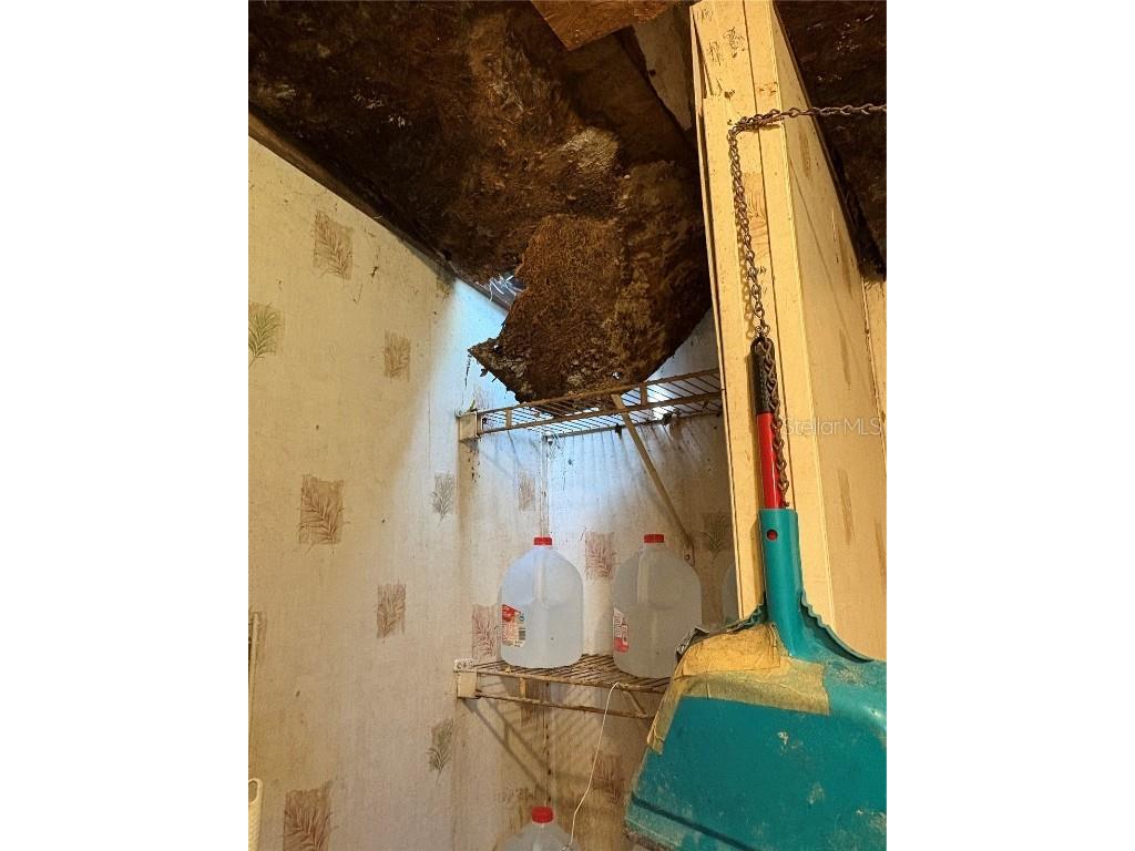 15403 Mornay Drive Hudson FL 34667 TB8435688 image61