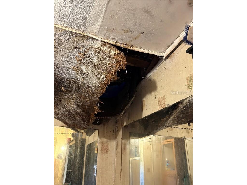 15403 Mornay Drive Hudson FL 34667 TB8435688 image64