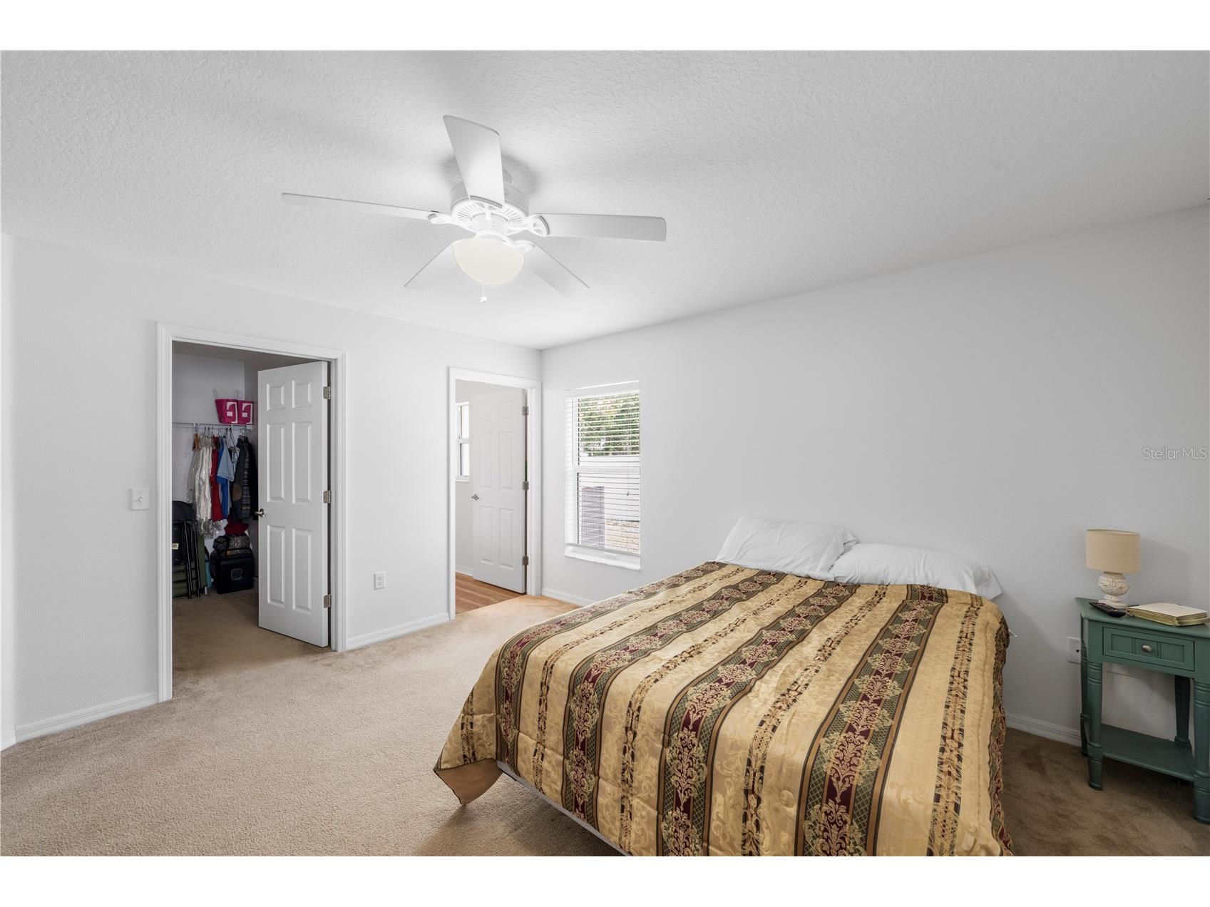 15404 Bama Breeze Place Wimauma FL 33598 A4689735 image20