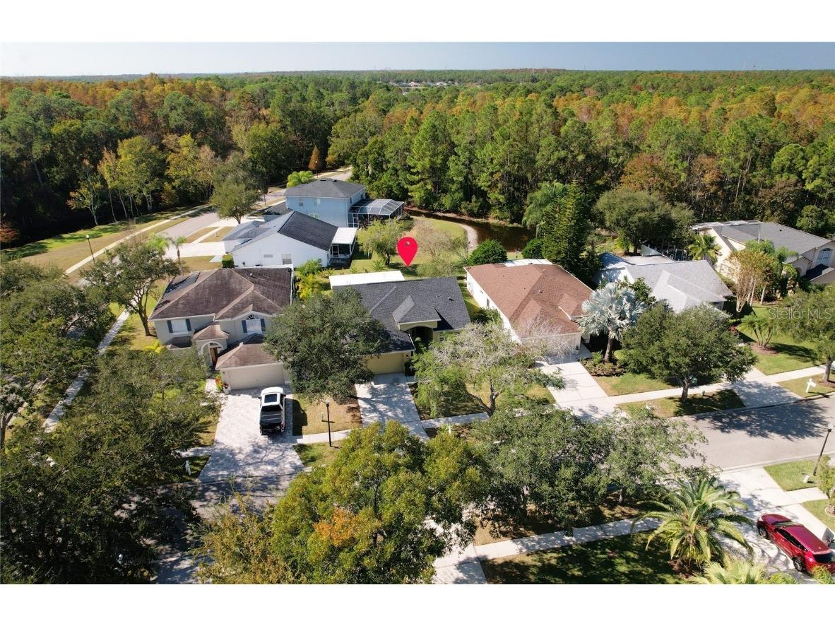 15404 Sir Maxwell Court Odessa FL 33556 TB8449379 image8