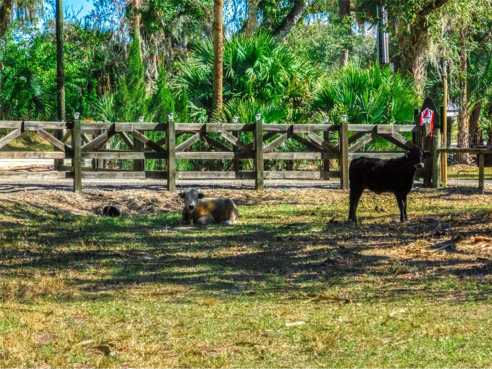 15405 Old Parker Island Road Lake Placid FL 33852 C7521745 image25