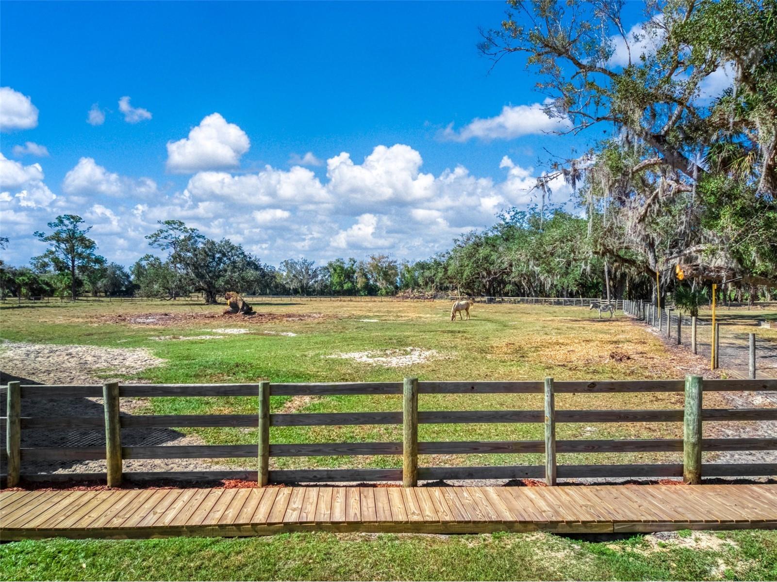 15405 Old Parker Island Road Lake Placid FL 33852 C7521745 image26