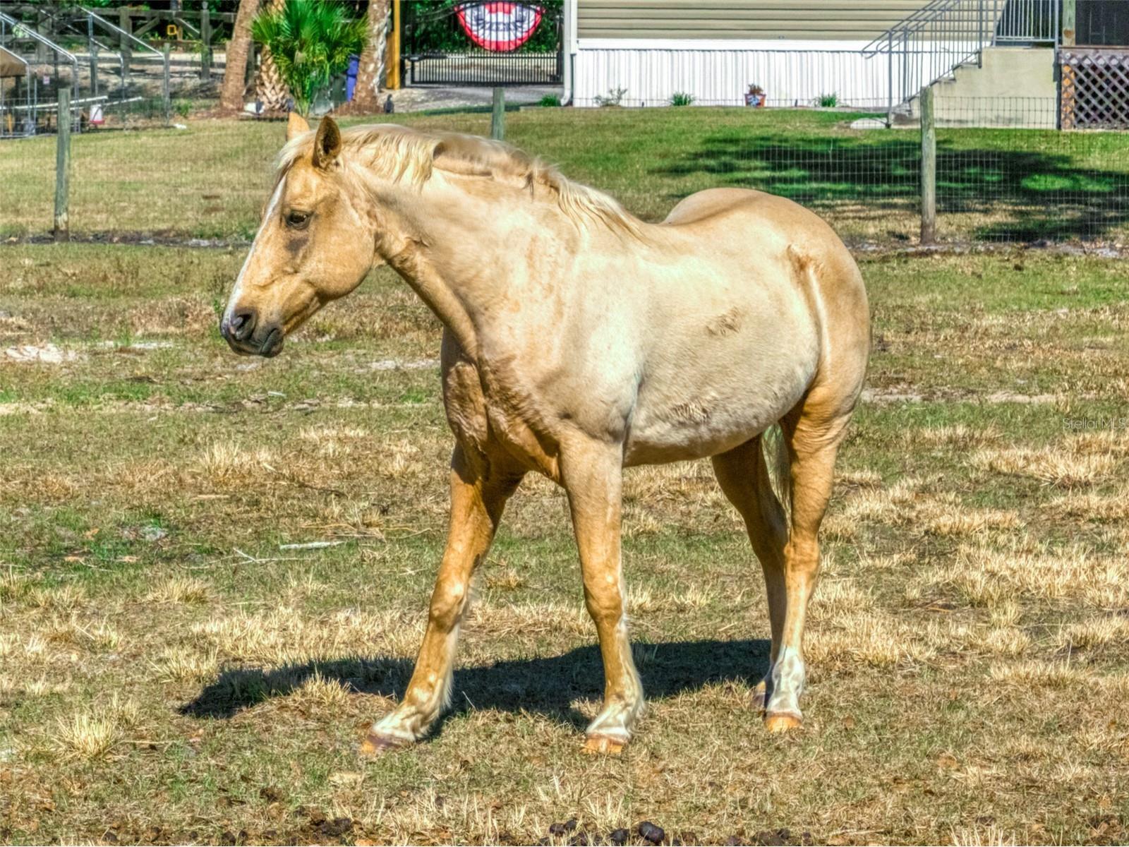 15405 Old Parker Island Road Lake Placid FL 33852 C7521745 image27