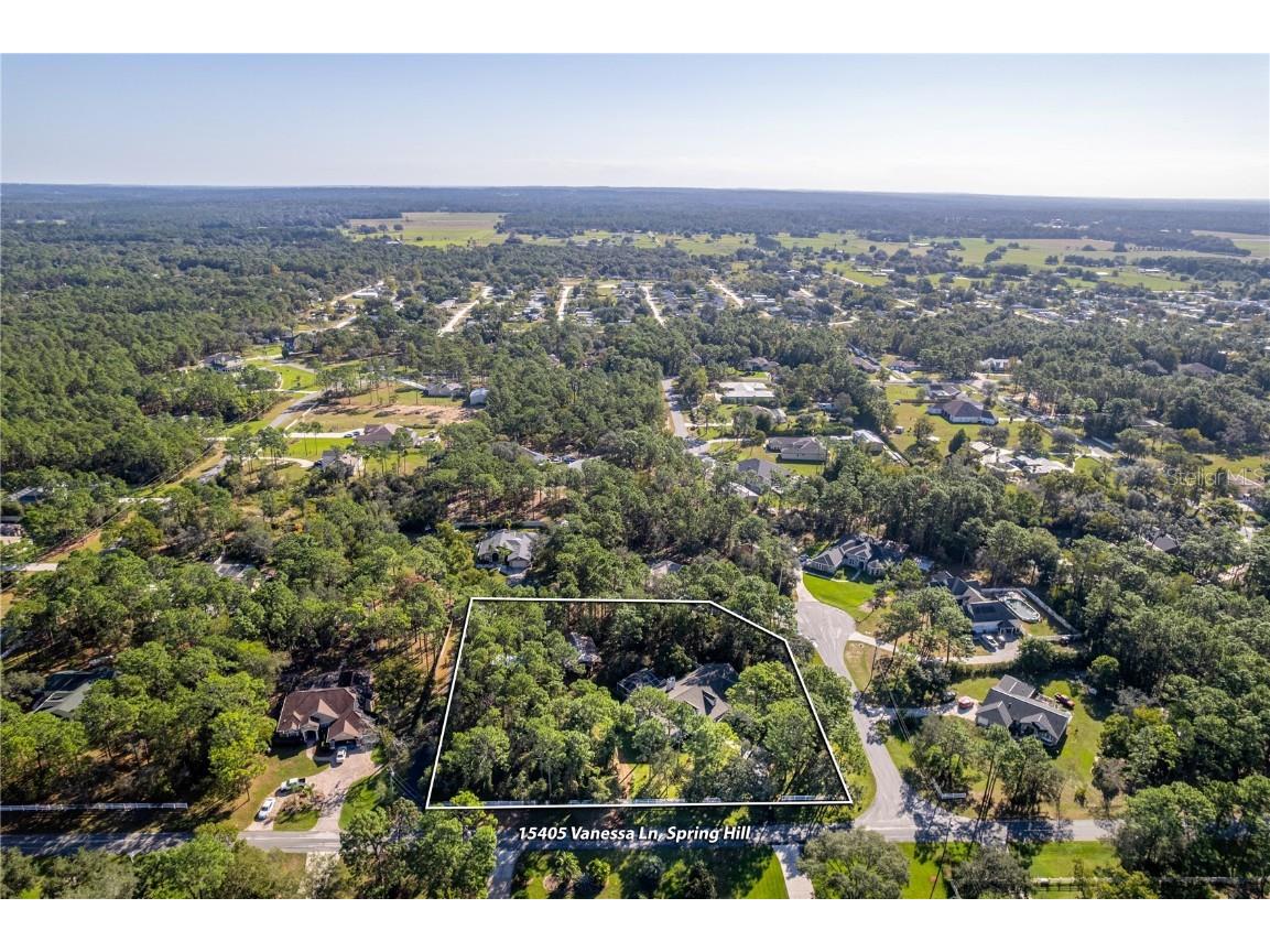 15405 Vanessa Lane Brooksville FL 34604 W7879892 image100