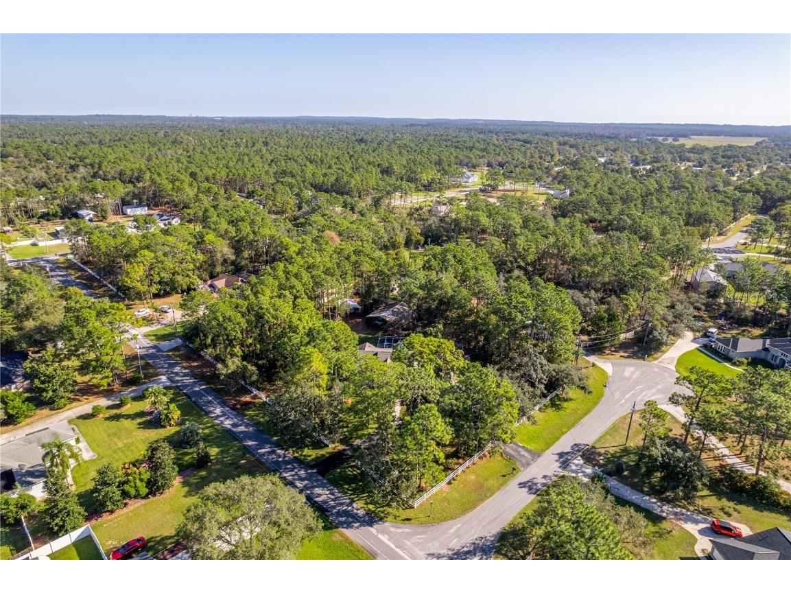 15405 Vanessa Lane Brooksville FL 34604 W7879892 image25