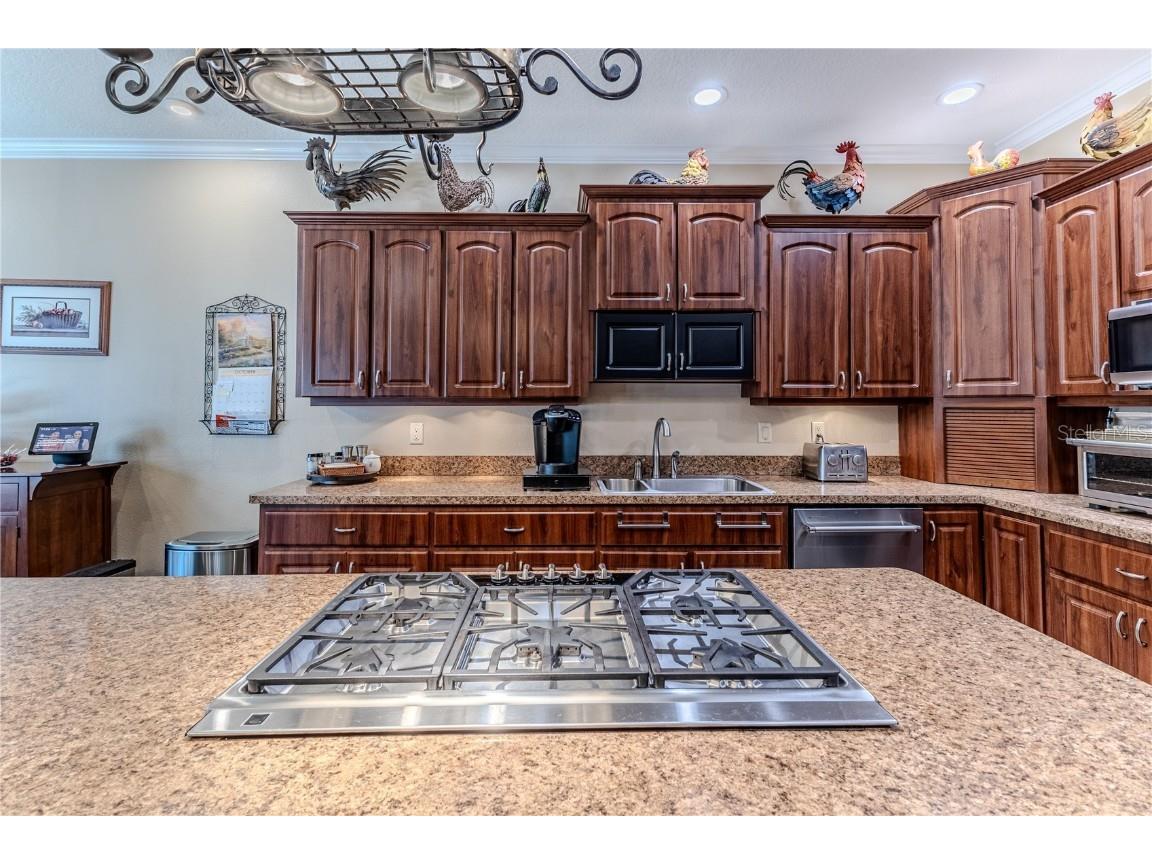 15405 Vanessa Lane Brooksville FL 34604 W7879892 image34