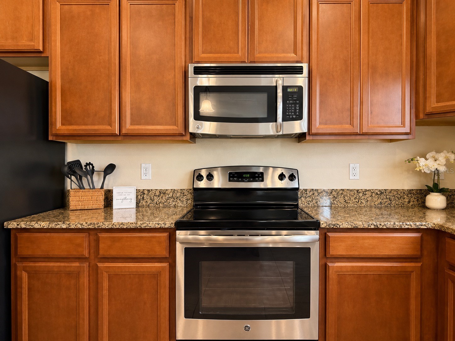 15406 Feather Star Place Ruskin FL 33573 TB8528269 image13