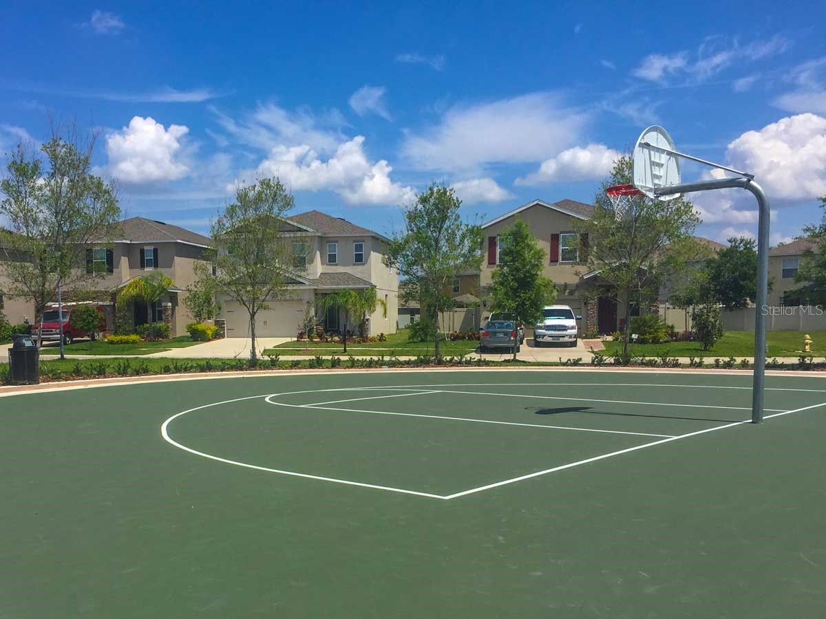 15406 Feather Star Place Ruskin FL 33573 TB8528269 image40