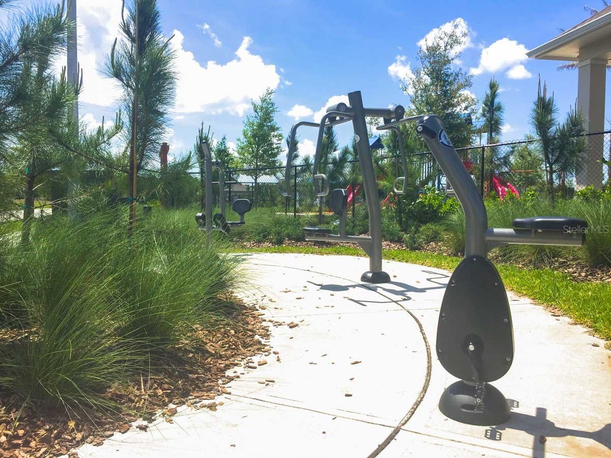 15406 Feather Star Place Ruskin FL 33573 TB8528269 image43