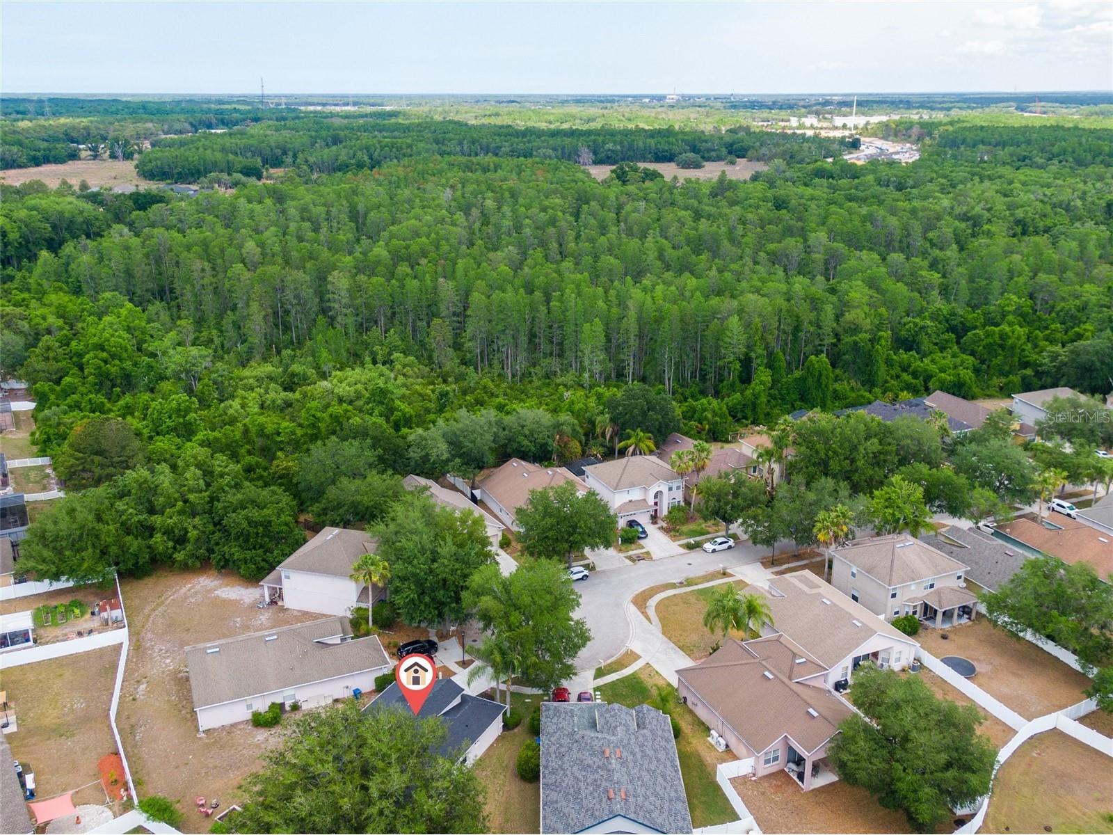 15406 Pepper Pine Court Land O Lakes FL 34638 O6406673 image27