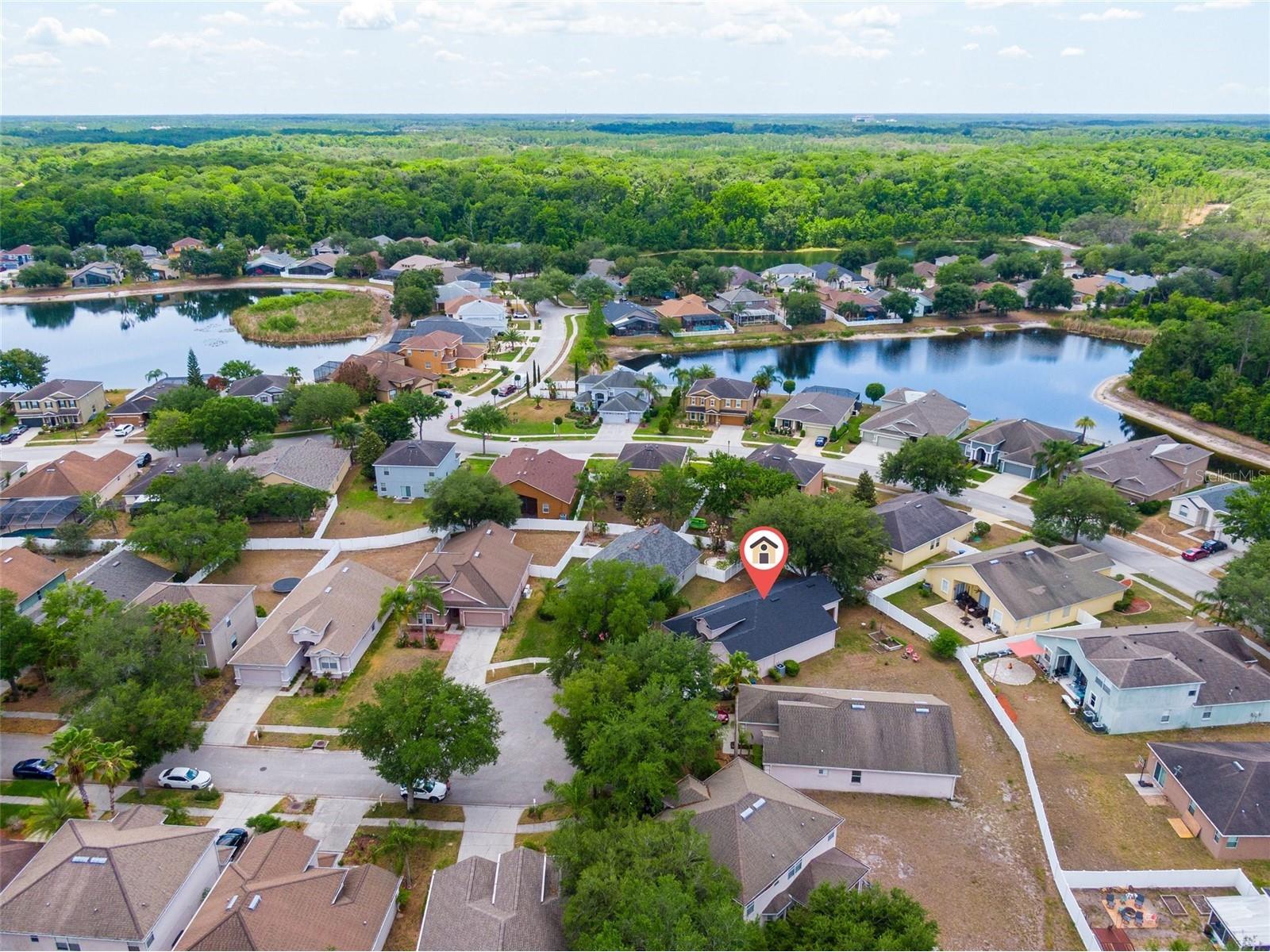 15406 Pepper Pine Court Land O Lakes FL 34638 O6406673 image30