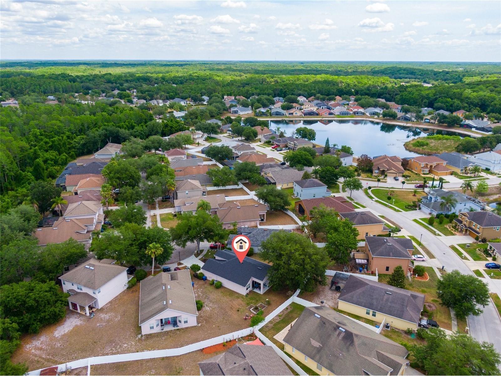 15406 Pepper Pine Court Land O Lakes FL 34638 O6406673 image31
