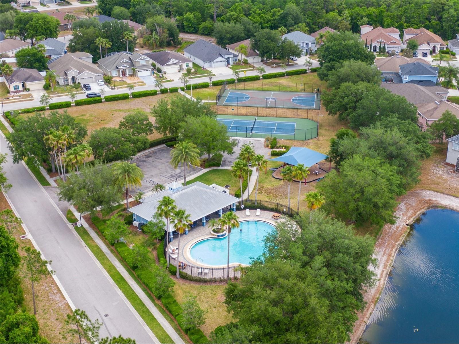 15406 Pepper Pine Court Land O Lakes FL 34638 O6406673 image32