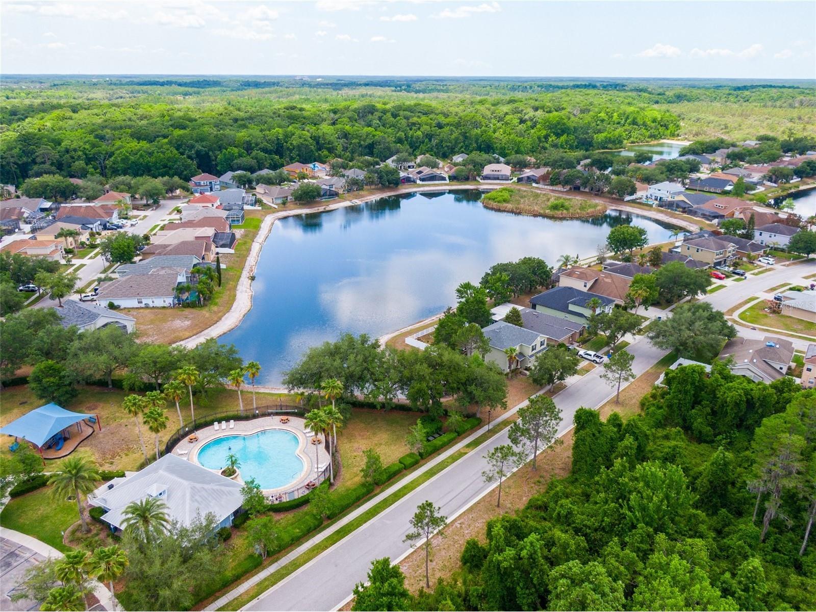 15406 Pepper Pine Court Land O Lakes FL 34638 O6406673 image33