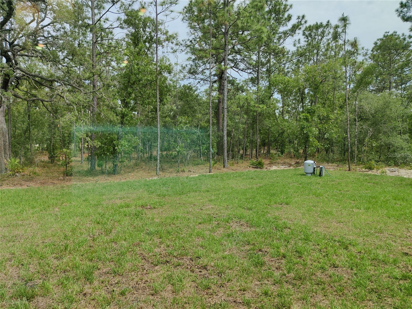 15406 Scaup Duck Avenue Weeki Wachee FL 34614 OM720720 image14
