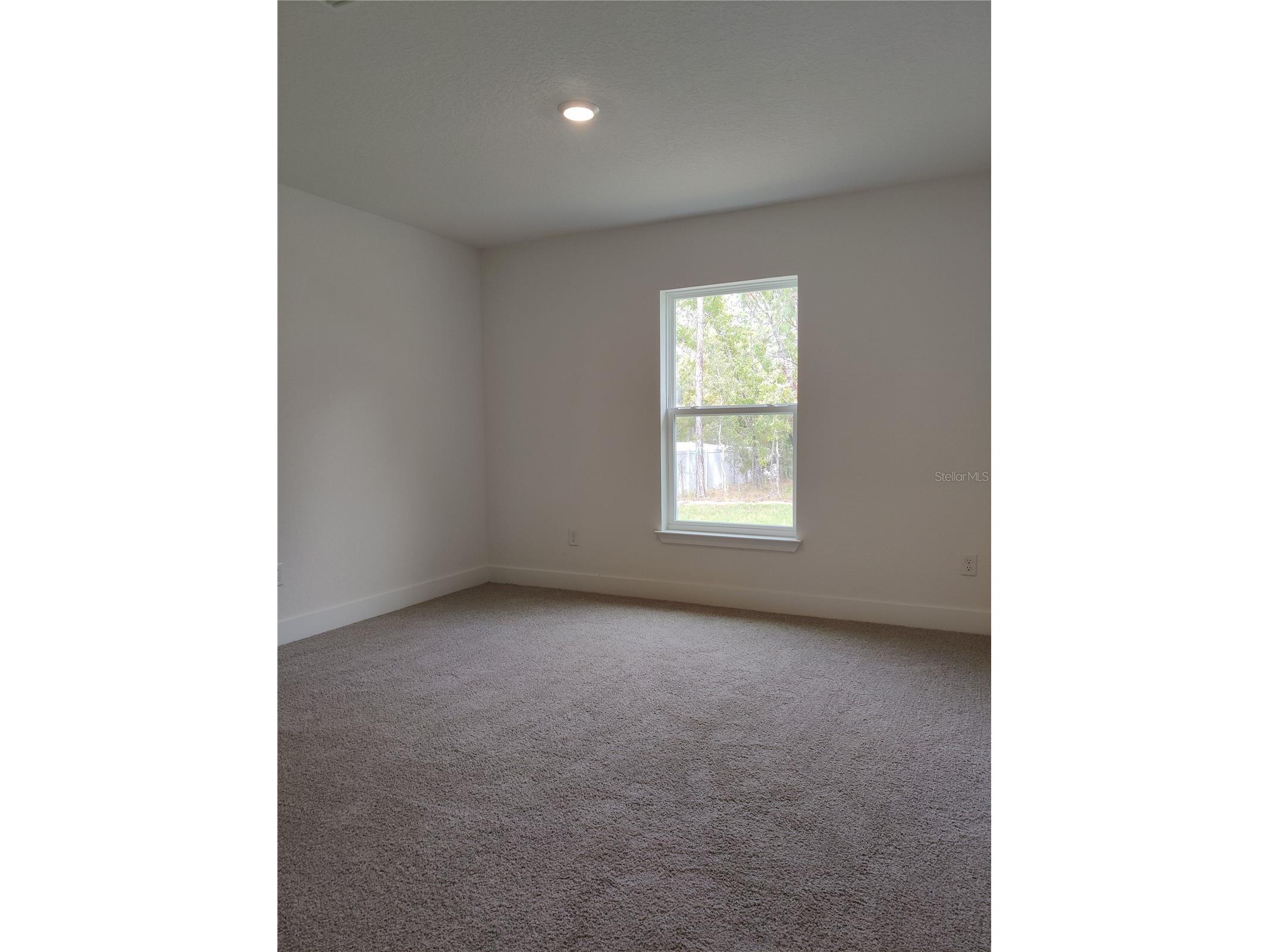 15406 Scaup Duck Avenue Weeki Wachee FL 34614 OM720720 image6