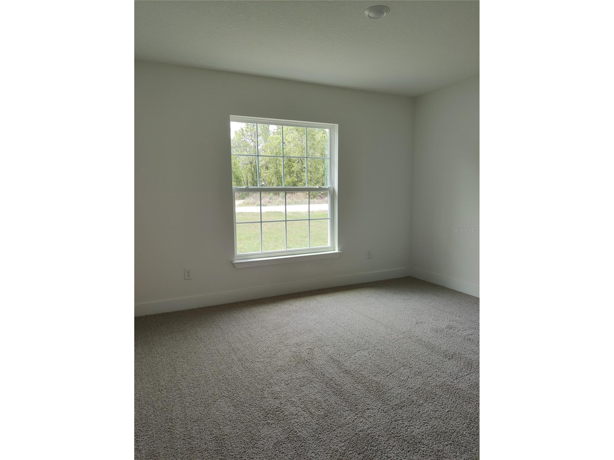 15406 Scaup Duck Avenue Weeki Wachee FL 34614 OM720720 image8