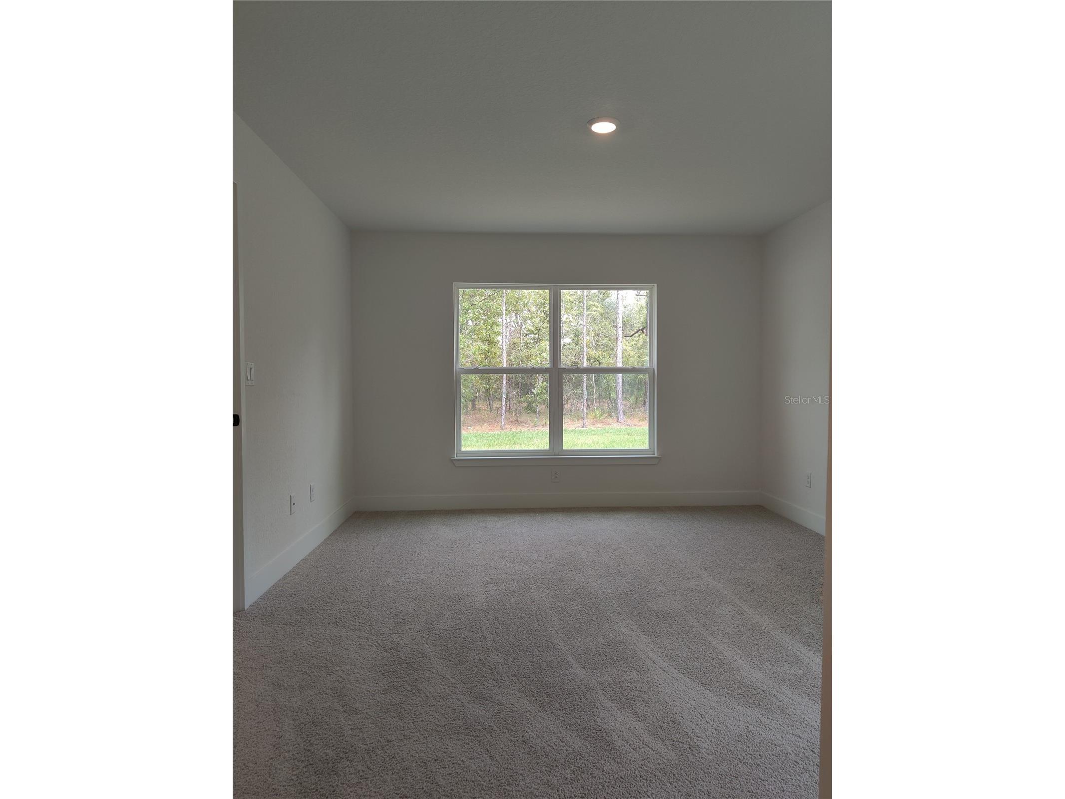 15406 Scaup Duck Avenue Weeki Wachee FL 34614 OM720720 image9