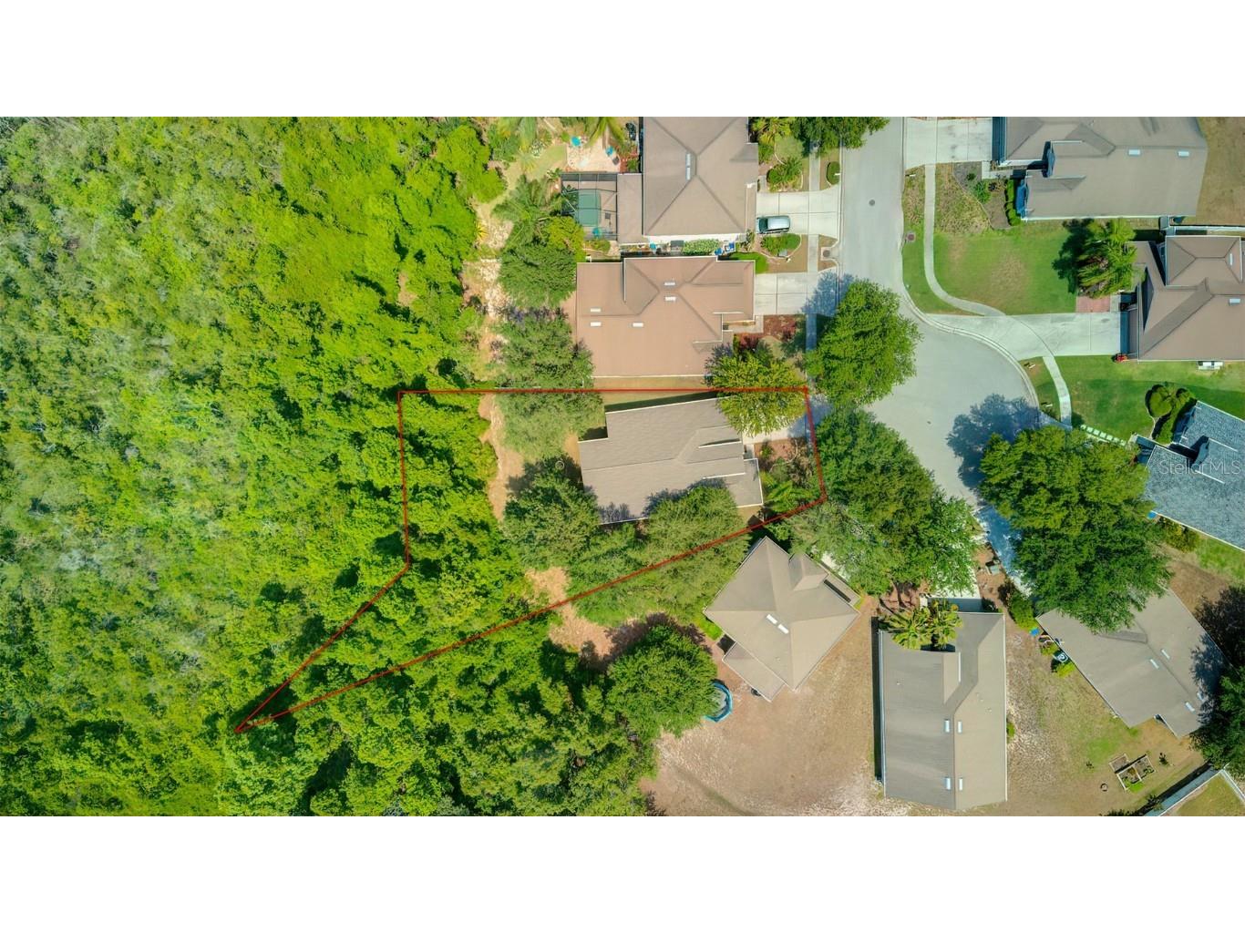 15407 Pepper Pine Court Land O Lakes FL 34638 T3442417 image1