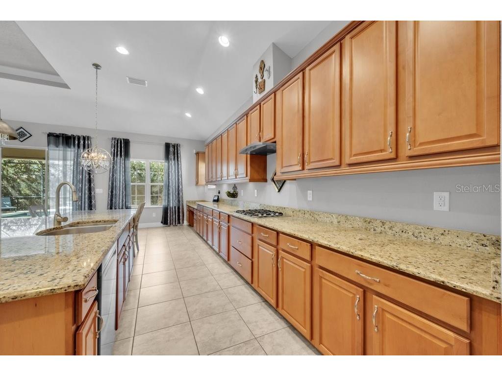 15409 Starling Crossing Drive Lithia FL 33547 TB8502470 image14