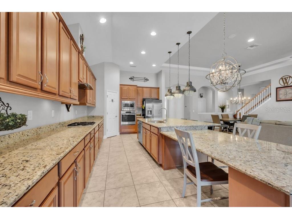 15409 Starling Crossing Drive Lithia FL 33547 TB8502470 image15